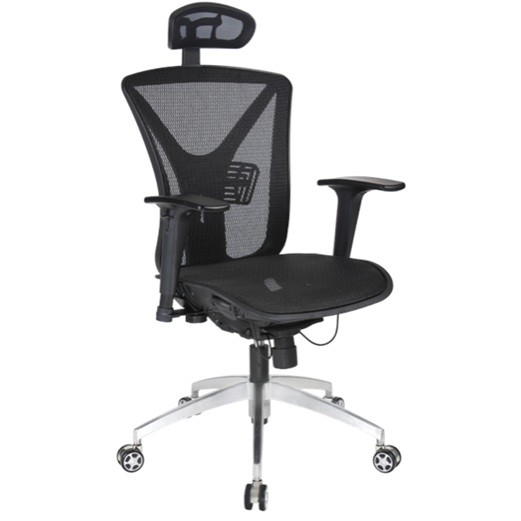 Kursi Direktur Kantor ERGOTEC LX 953 TR